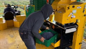 Where it’s made: Oxbo opens harvester factory in Western New York