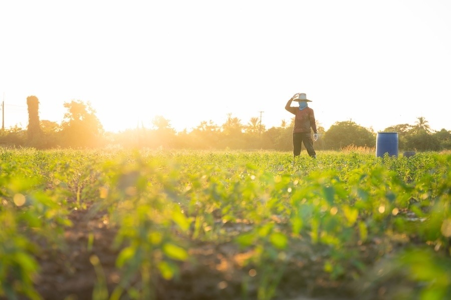 Long awaited labor reform drops today, revives H-2A and immigration debate