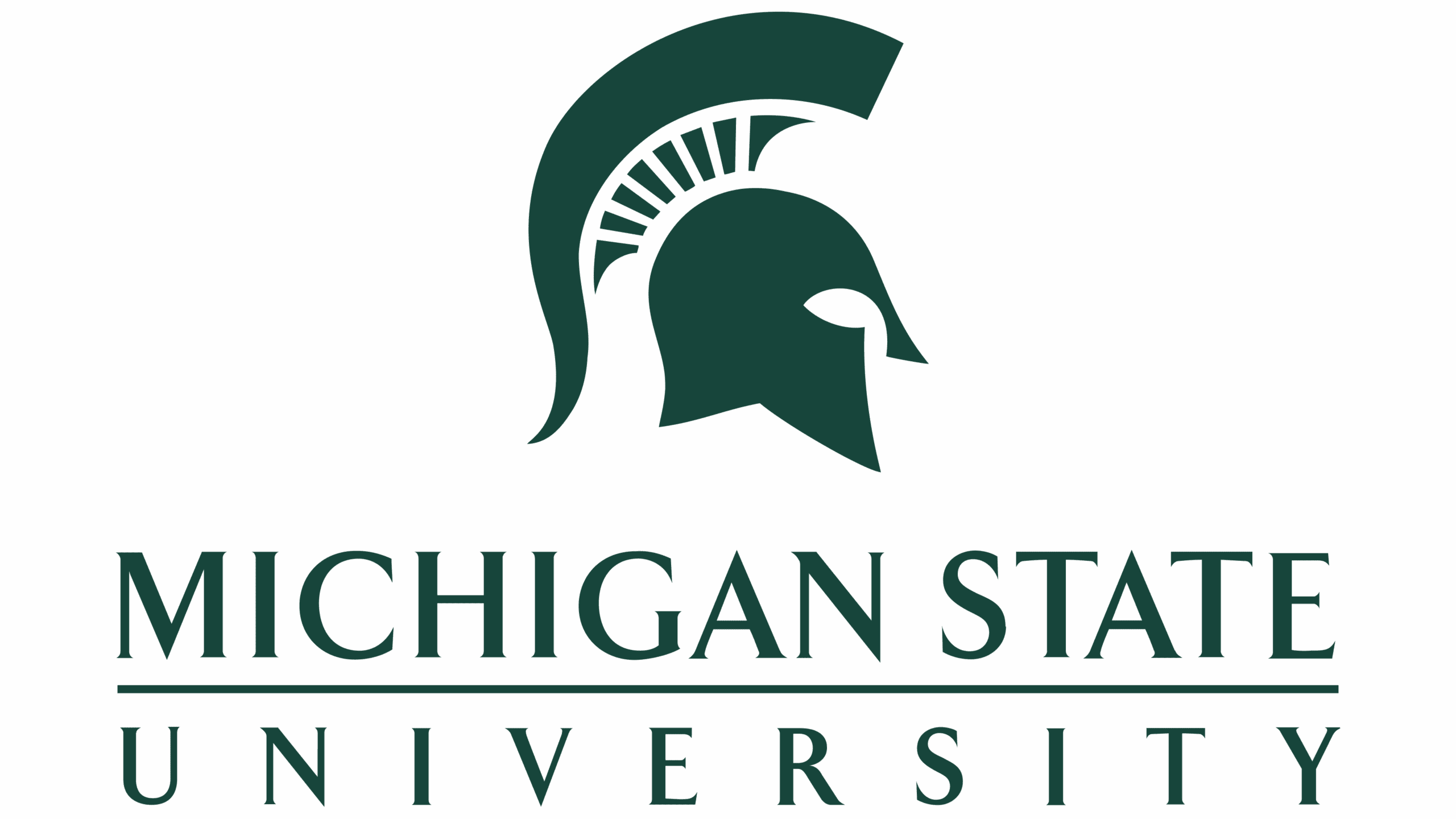 Michigan State University MSU