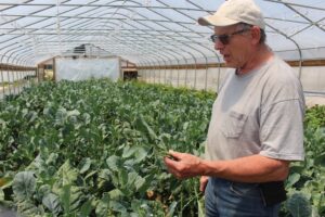 Specialty crop growers adapt harvests, crop protection during extreme heat