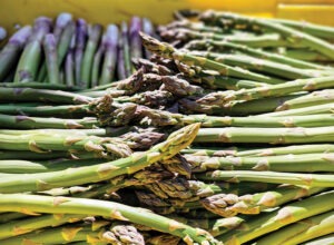 Growers share strategies for building profitable asparagus production