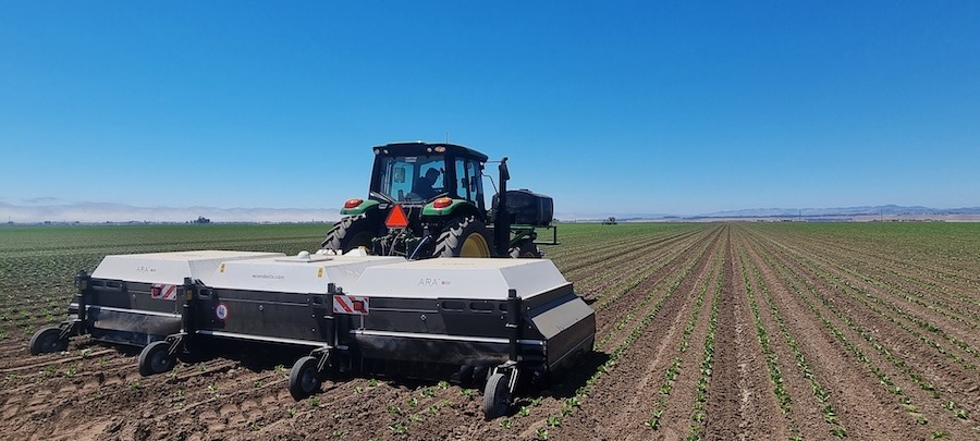 Ecorobotix launches ARA595 precision sprayer for Southwestern vegetable growers